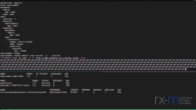 Cloud Native Short Take - Kubernetes Observability Overview смотреть онлайн