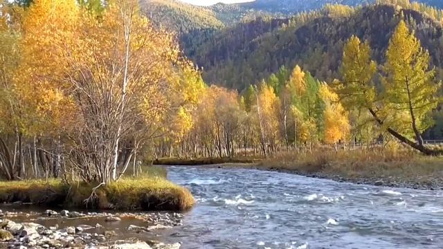 Исцеление от гастрита Для мужчин  Лечебные настрои академика Сытина Г.Н.