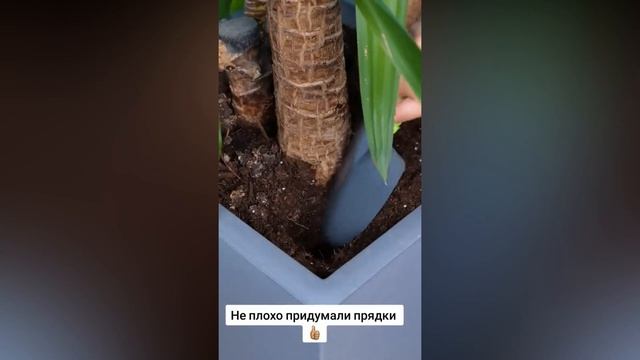 Несколько идей куда можно спрятать заначку ?