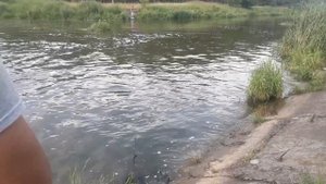 Ловля окуня на спиннинг с берега в жару летом
