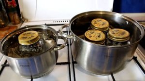 Голубика в собственном соку.