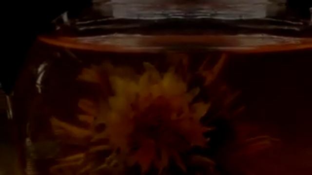 Танцующие попки смотреть онлайн