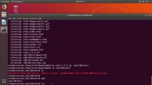 [en] Ubuntu: Oracle SQL Developer connect to Microsoft SQL Server and Sybase