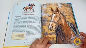 ЭНЦИКЛОПЕДИЯ ДЛЯ ДЕТЕЙ. ЛОШАДИ