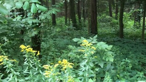 СЫН ВЫРОС И ОТОМСТИЛ ОБИДЧИКУ СВОЕЙ МАМЫ. Реальные истории из жизни.Жизненные истории.Аудио рассказ