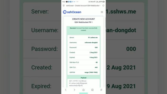 bug susihroll terbaru no sonsor via ssh websocket смотреть онлайн