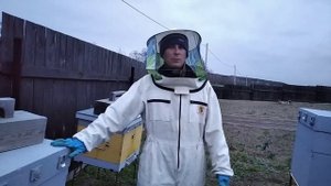 последняя обработка пчёл бипином сколько осыпалось пчёл и клеща?