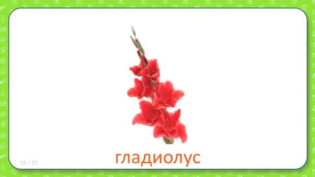 Развивающие карточки Домана для детей Цветы
