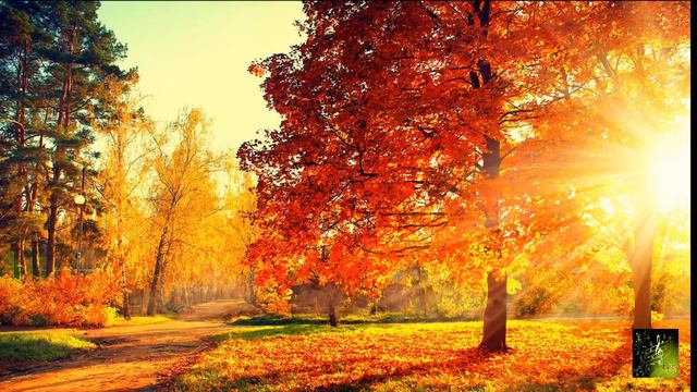 Золотая мама автор Е Круглова исп Арина Держинская смотреть онлайн