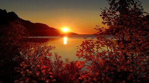 Александр Алексеев. Как упоительны в России вечера