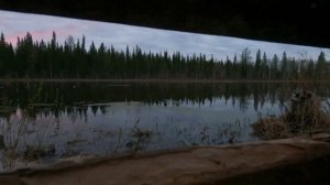 Весенняя охота на уток!