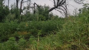 Взяли высоту,зачищаем.