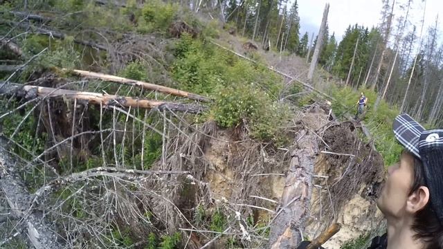 Бурелом (он же ветровал) смотреть онлайн