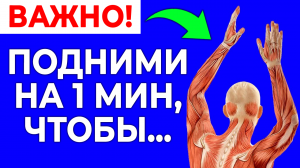 Подними руки ВВЕРХ на 1 минуту! Быстрая практика для здоровья всего организма!
