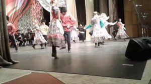 Сибирский народный хор. Я калину ломала.