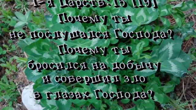 СЛОВОБОЖЬЕ| Чья молитва - МЕРЗОСТЬ!?