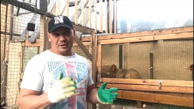 Фокси Чик - скороспелая курочка. смотреть онлайн