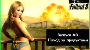 Прохождение Fallout 3: Выпуск #3 - Поход за продуктами