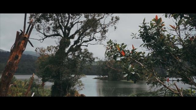 SONY NEX 5T TIMELAPSE смотреть онлайн