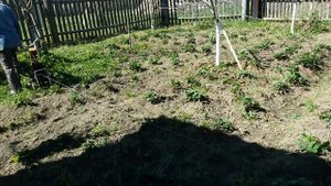 самодельная мотолебедка(ВОСХОД)-пашем!