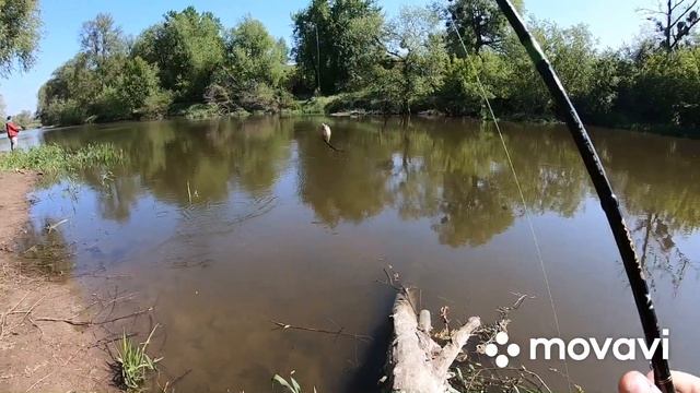 Окунь на кренк! смотреть онлайн