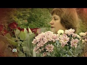 "Следствие вели...": "Кровавый багаж"