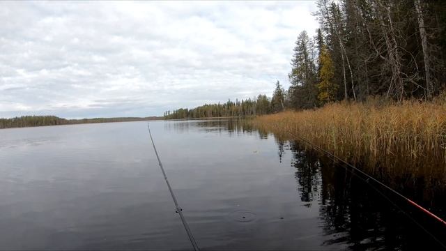 За Щуками на лесное озеро в Карелии смотреть онлайн