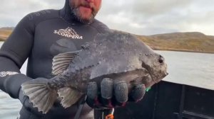 Поймал Пинагора