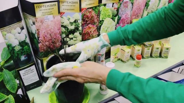Как повысить приживаемость растений?