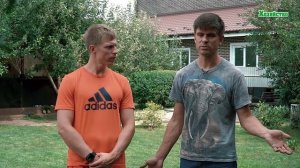 Что делать если увядает и засыхает дерево?