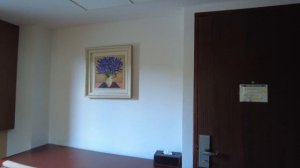 #влог ОТЕЛЬ PEACH BLOSSOM 4* между Ката и Карон. Март 2023 #Пхукет #Таиланд.