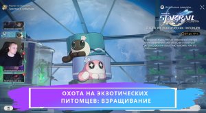 Honkai Star Rail ➤ Охота на экзотических питомцев: Взращивание ➤ Часть 1 ➤ Игра Хонкай стар рейл