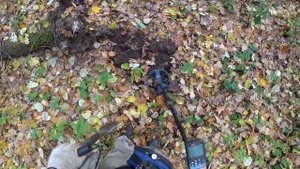 НАШЁЛ ИХ В ОВРАГЕ ПОД ЛИСТЬЯМИ..! Коп с мд Gold Hunter Frogman B75