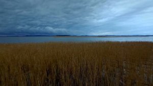 Рыбалка в Красногорке