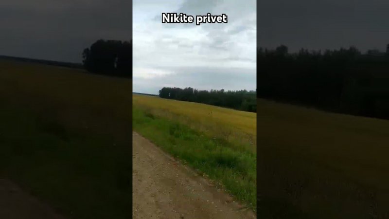 Nikite privet