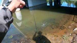 Микроджиг в городе. Ловля окуня на спиннинг с берега в июне 2023.