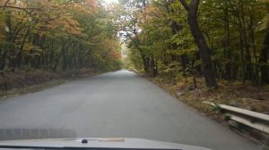 Царская дорога осенью.