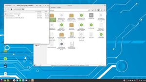 Установка 1с учебную версию на Linux Mint 21
