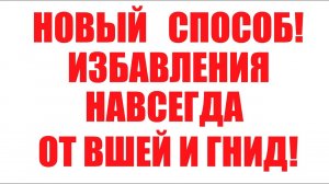 Вывести вшей.