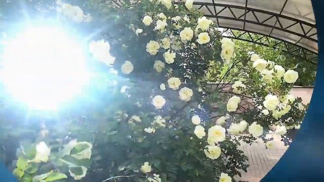 Судьба | песня о потерянном счастье |