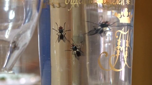 Стеклянные сосуды с секретами смотреть онлайн