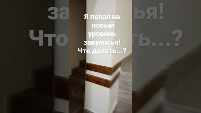 #басики #уточкалалафанфан #будибаса #эстетика