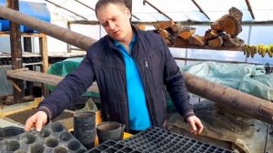 Кассеты для рассады и их применение