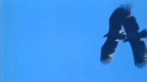 Позови меня небо...