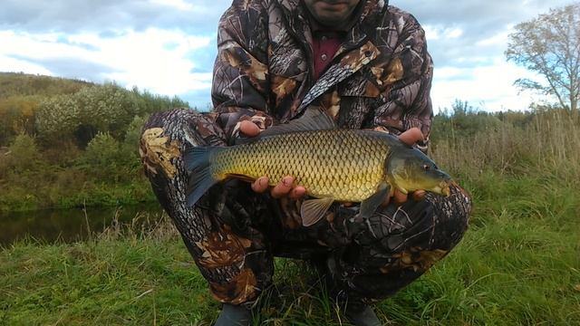 Сазан 2 кг Осень 2016 смотреть онлайн