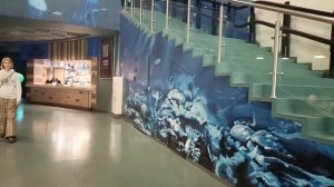 МОСКВАРИУМ 🐟🦭🐬ПОСЕТИЛ МОСКОВСКИЙ АКЕАНАРИУМ‼️#москвариум #акеанариум #ВДНХ #москва