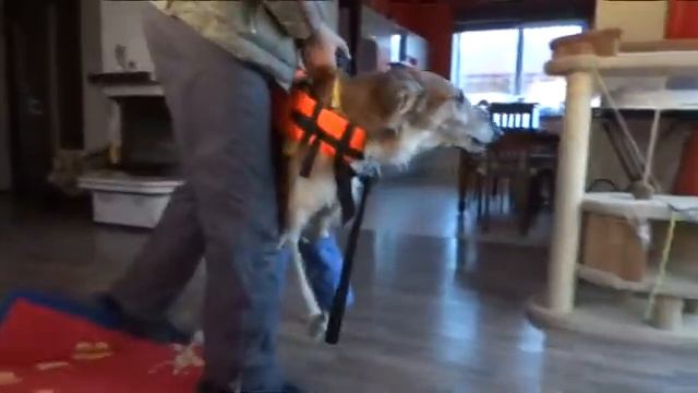 Митя,Митенька, Ильмень смотреть онлайн