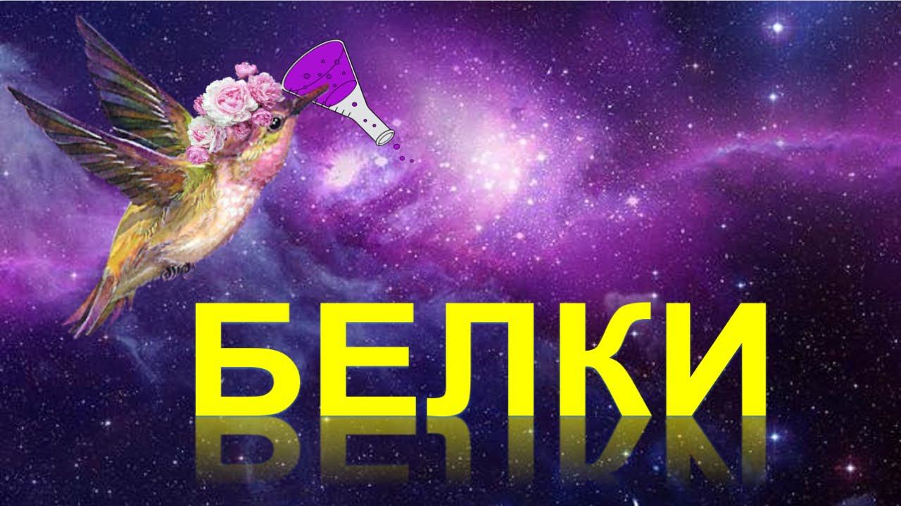 63. Белки (пептиды, протеины)