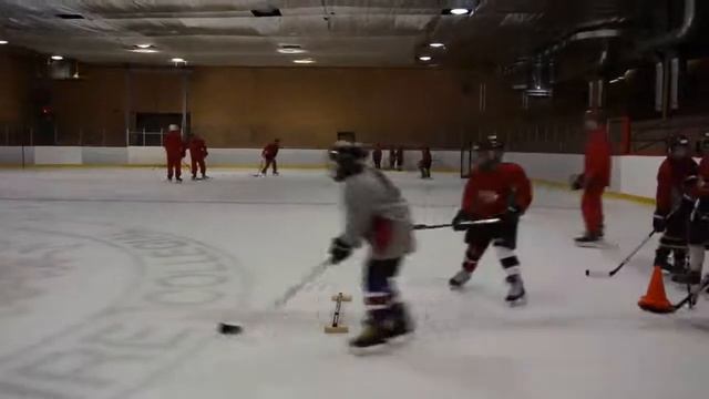 Тренировка на игровую хитрость, развитие реакции и стартовой скорости смотреть онлайн