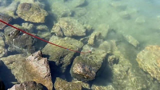 Ищем сокровища на Поисковый Магнит! Как найти Айфон или Монеты? Поисковый магнит для детей смотреть онлайн